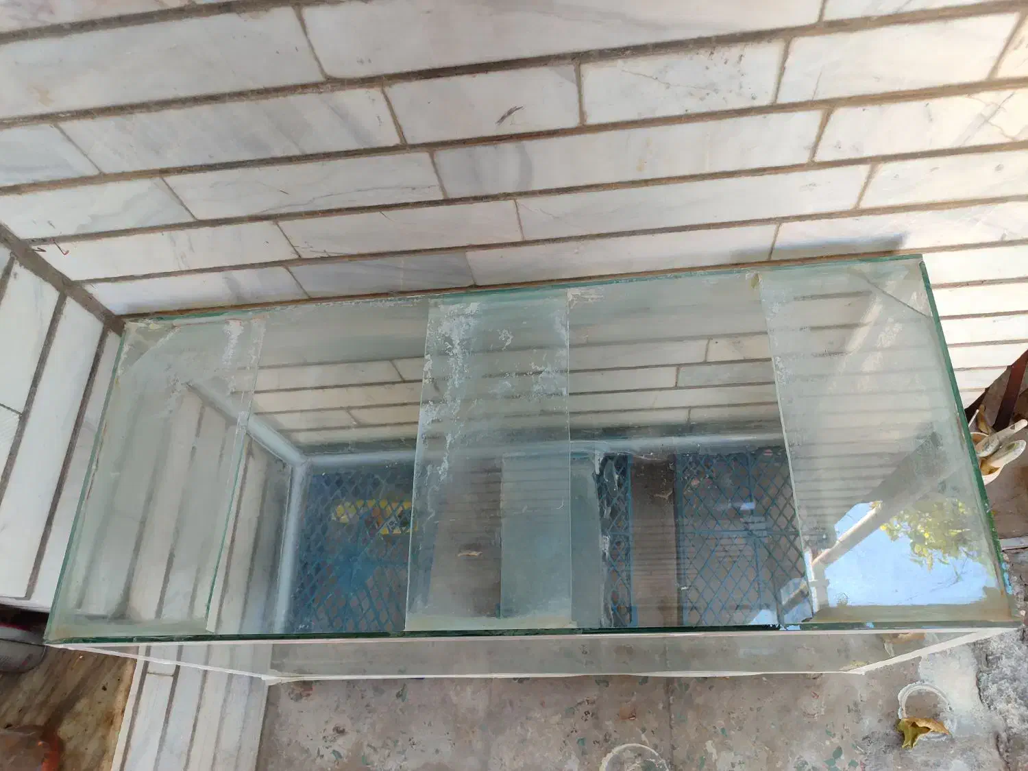 آکواریوم|ماهی|ایذه, |دیوار