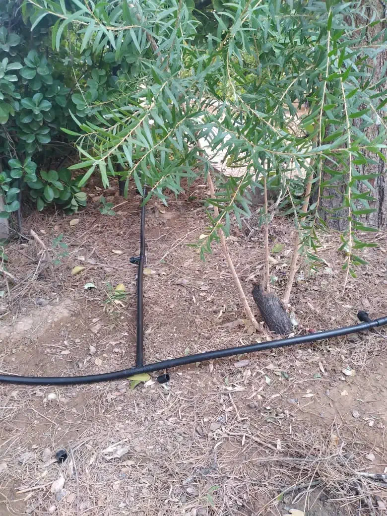 هرس .پاکن. کود دامی. اجرا سیستم آبیاری قطره ای.|خدمات باغبانی و درختکاری|شیراز, شهرک مهرگان|دیوار