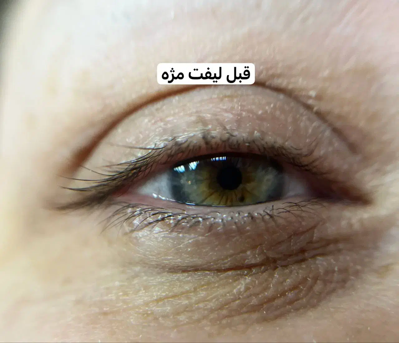 تخفیف ویژه لیفت ابرو و مژه|خدمات آرایشگری و زیبایی|رشت, استادسرا|دیوار