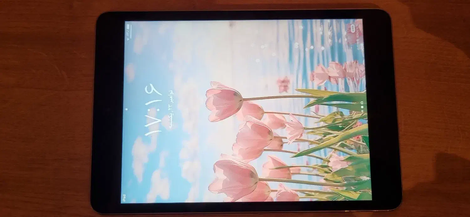تبلت ipad mini 3|تبلت|شیراز, شیمی گیاه|دیوار