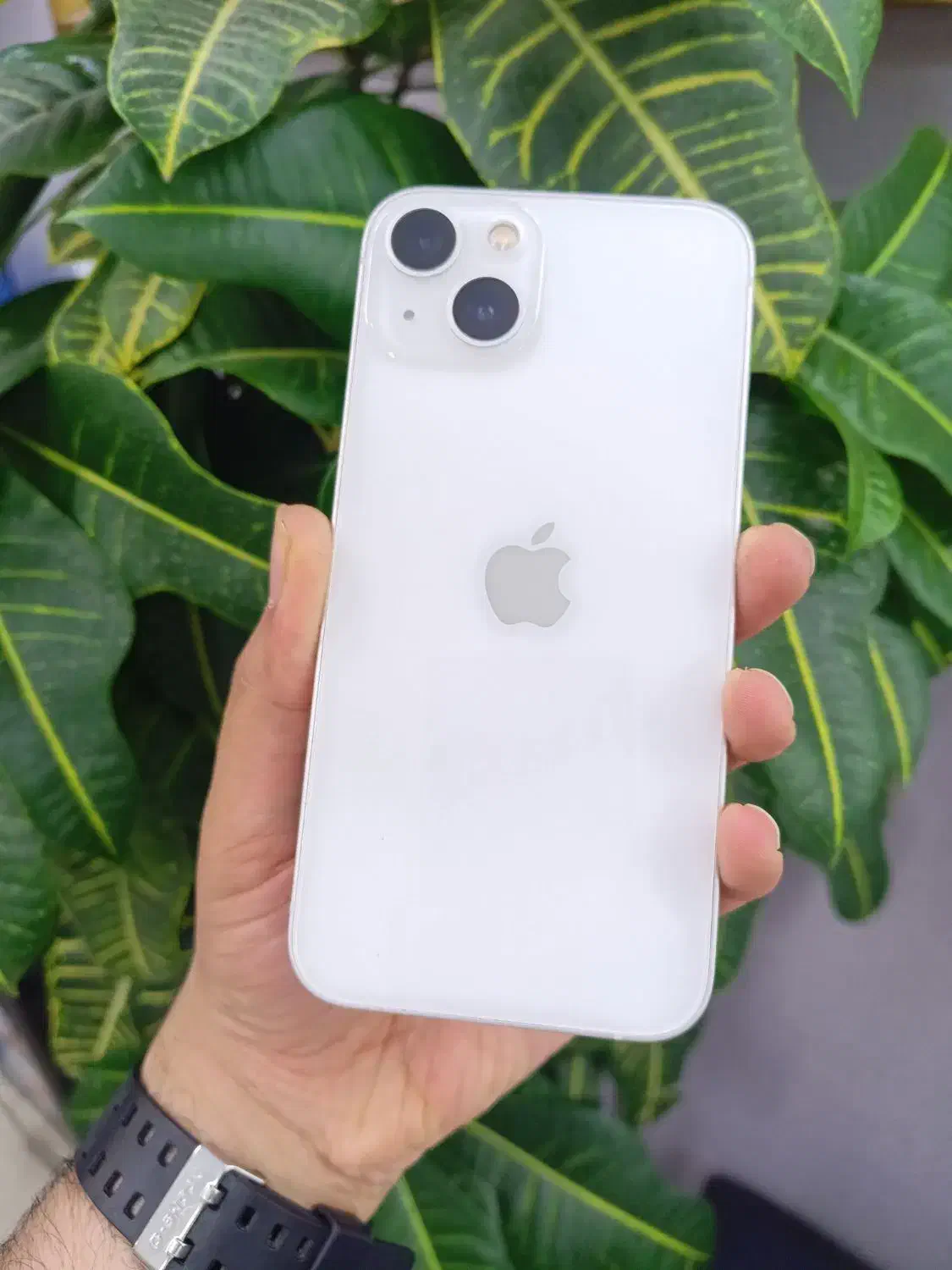 iphone 13 normal|موبایل|شیراز, شهرک گلستان|دیوار