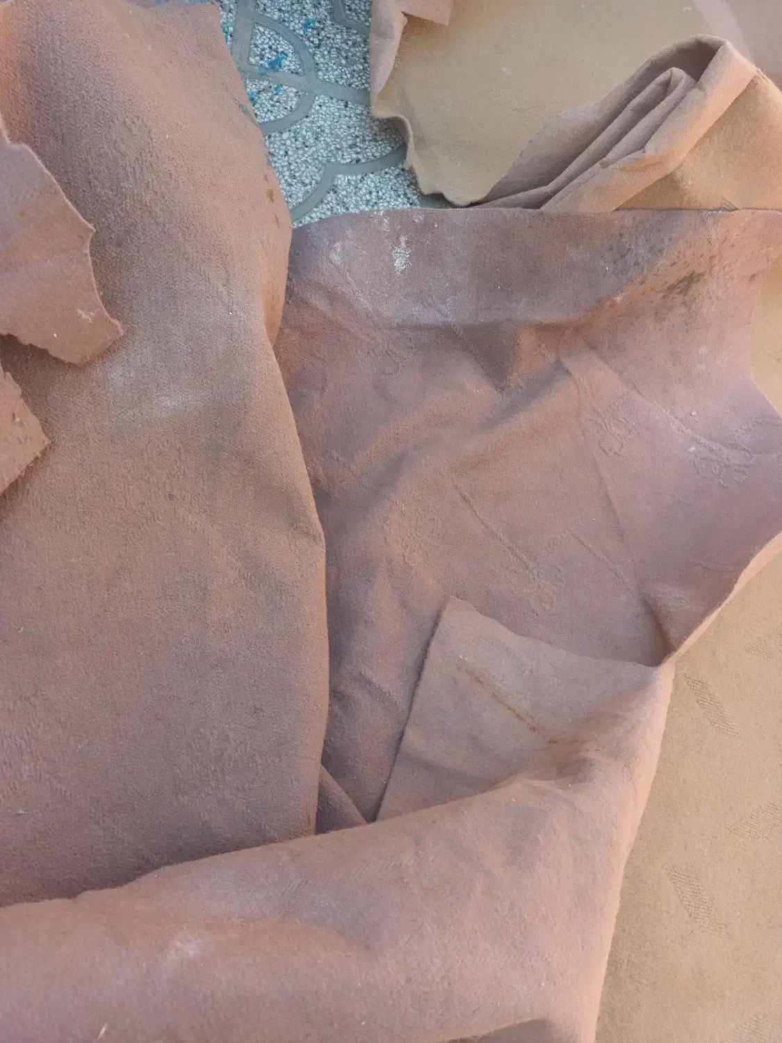 موکت تمیز|موکت|تربت‌حیدریه, کلاته توکلی|دیوار