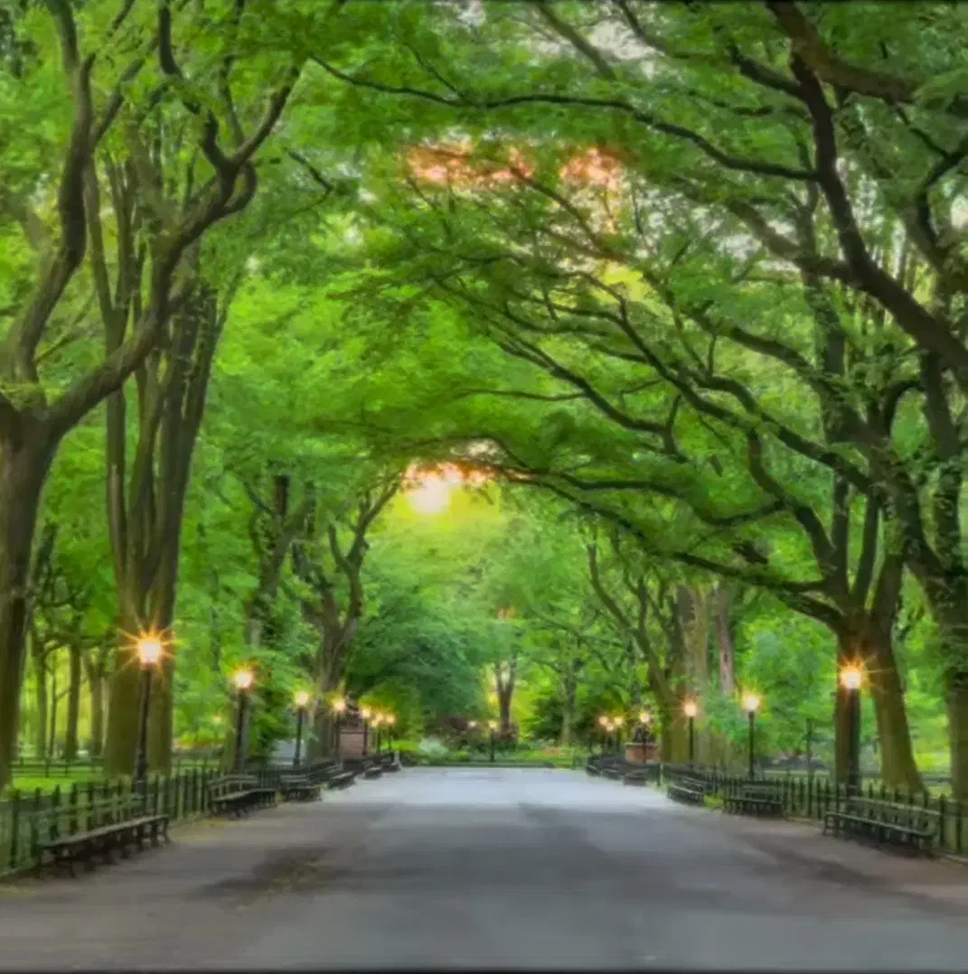 فرصت سرمایهگذاری حلال در کار سالم و واقعی|استخدام مالی، حسابداری، حقوقی|تبریز, |دیوار