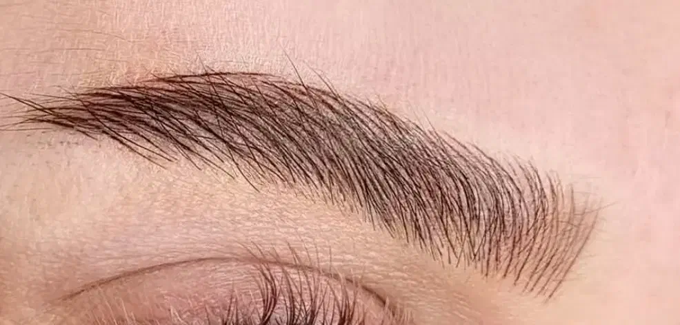 مدل میکروبلیدینگ ابرو فقط هزینه مواد گرفته میشود|خدمات آرایشگری و زیبایی|قائم‌شهر, |دیوار