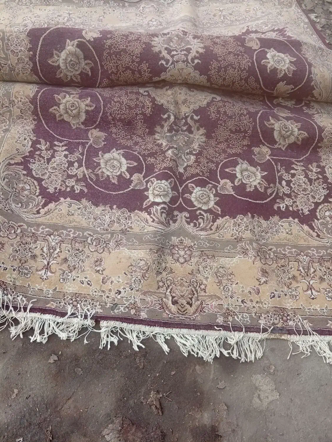 فرش در حد نو|فرش|سنگر, |دیوار