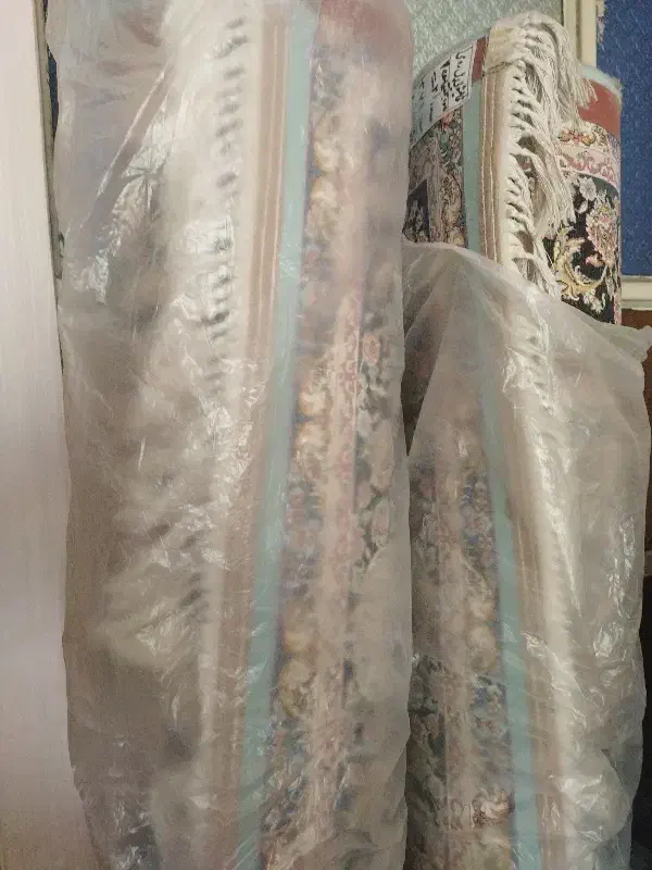 دو عدد فرش ماشینی ریز شانه تازه شستشو شده|فرش|تهران, هاشمی|دیوار