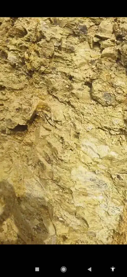 بنتونیت|عمده‌فروشی|مشهد, یوسفیه (شهرک غرب)|دیوار