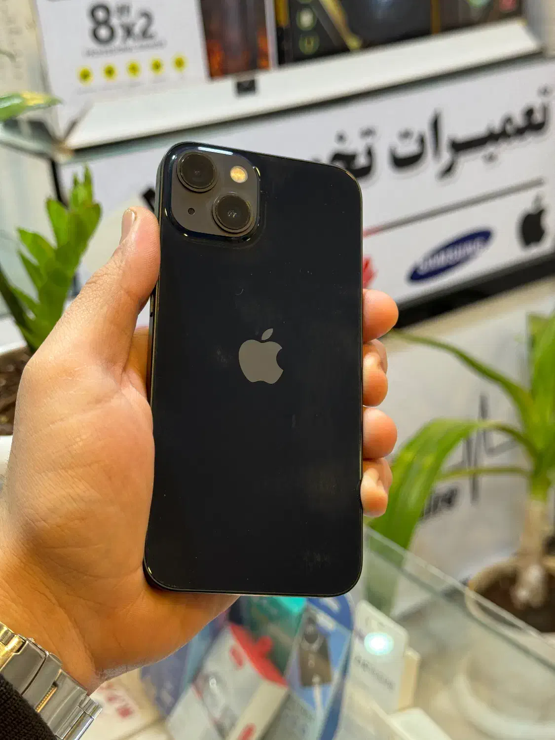 ایفون 13|موبایل|مرودشت, ژیان|دیوار