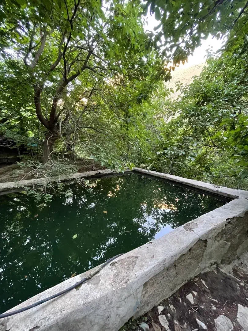 باغ رویایی رودخانه دار تهران(رندان)/سرمایهگذاری|فروش زمین و ملک کلنگی|کن, |دیوار