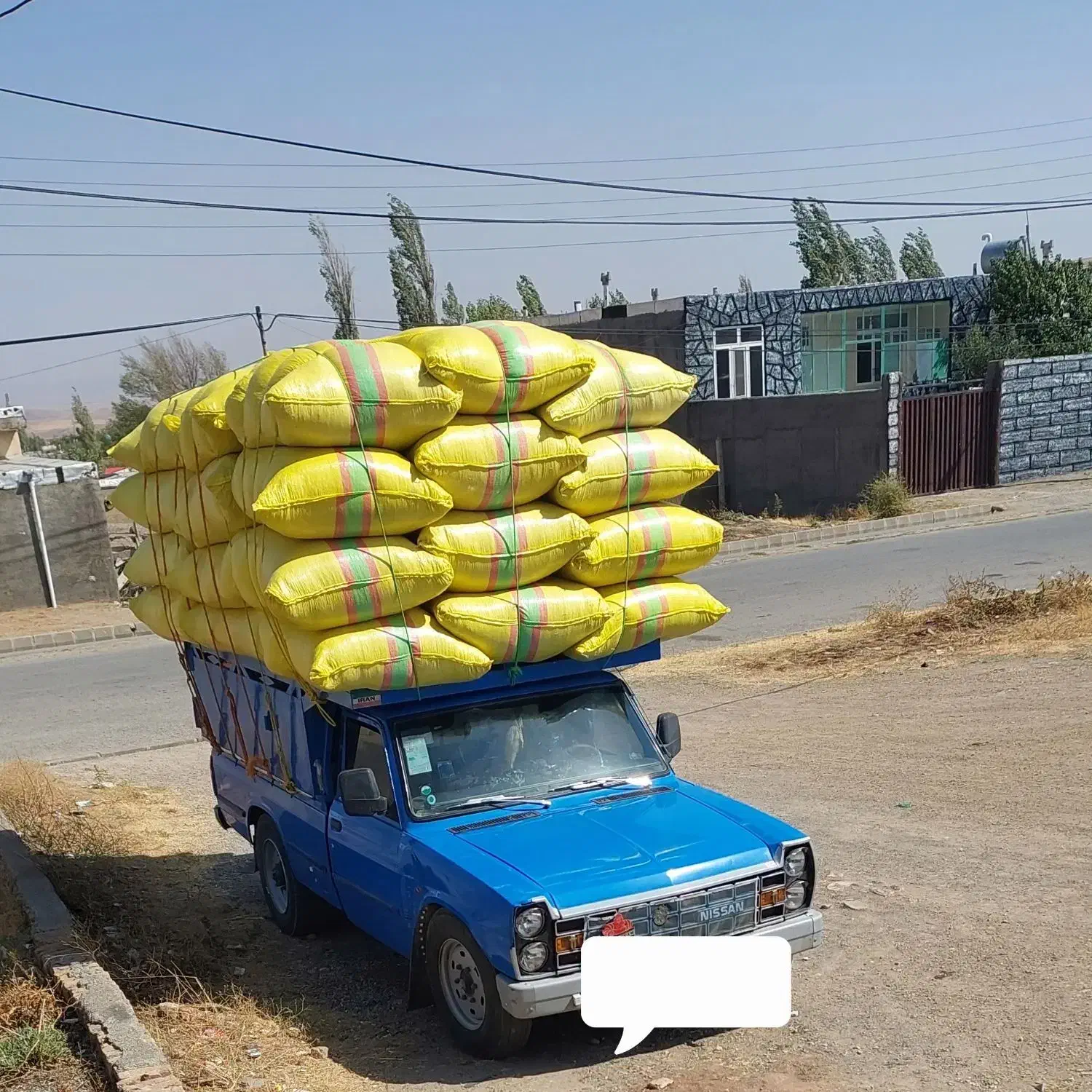 کاه درجه یک|خدمات باغبانی و درختکاری|فیروز, |دیوار