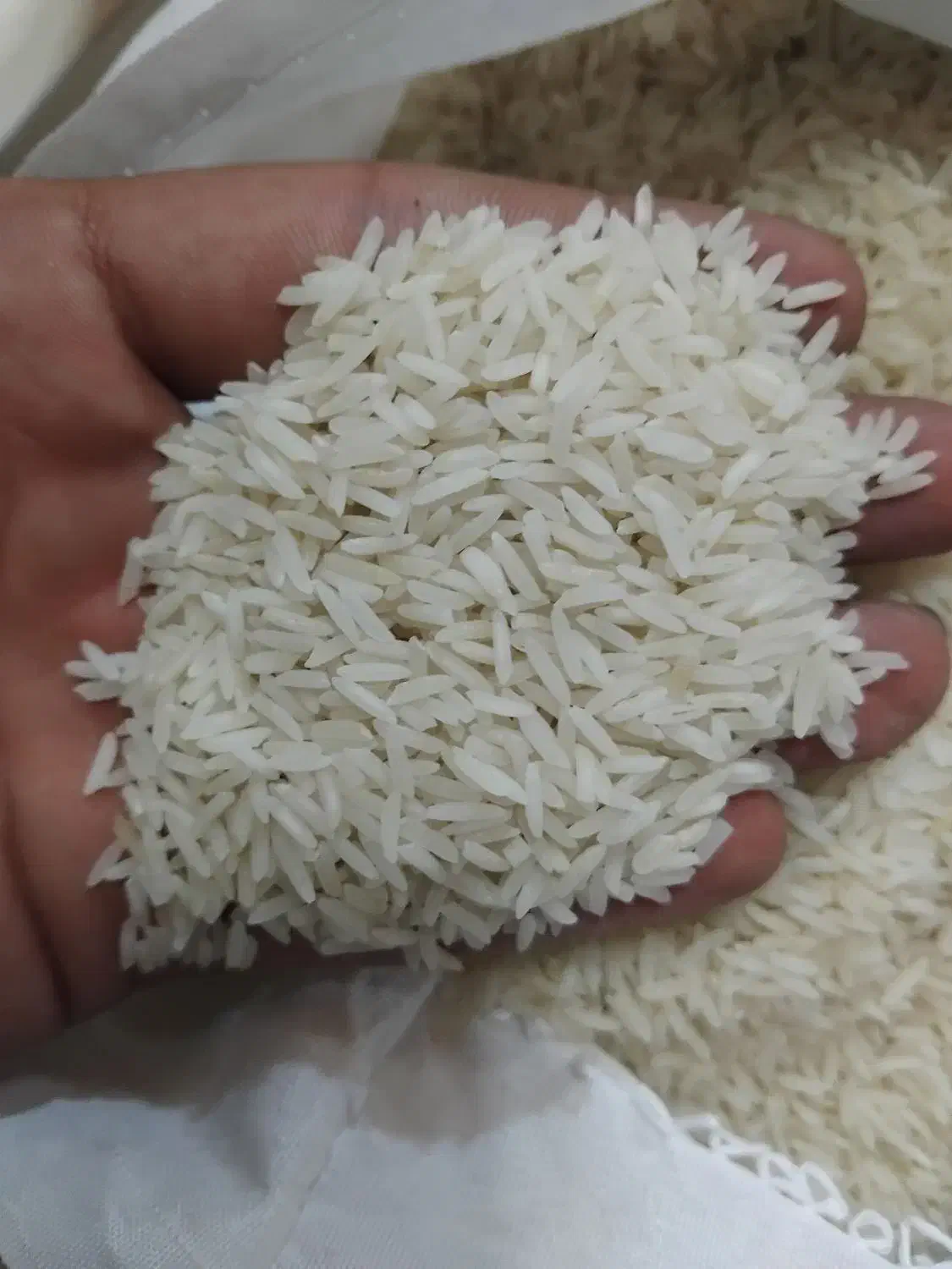 برنج ایرانی طارم فجرممتازاصلی اقتصادی بشرط مرجوعی|خوردنی و آشامیدنی|قم, امامزاده ابراهیم|دیوار