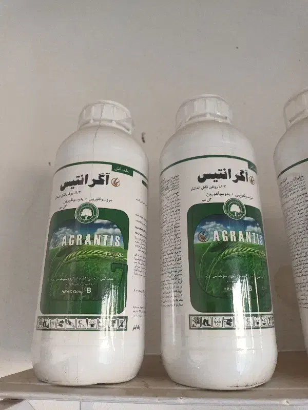 اگرانتیس علف کش دومنظوره گندم سه لیتر بیشتر نمونده|گل و گیاه طبیعی|مینودشت, |دیوار