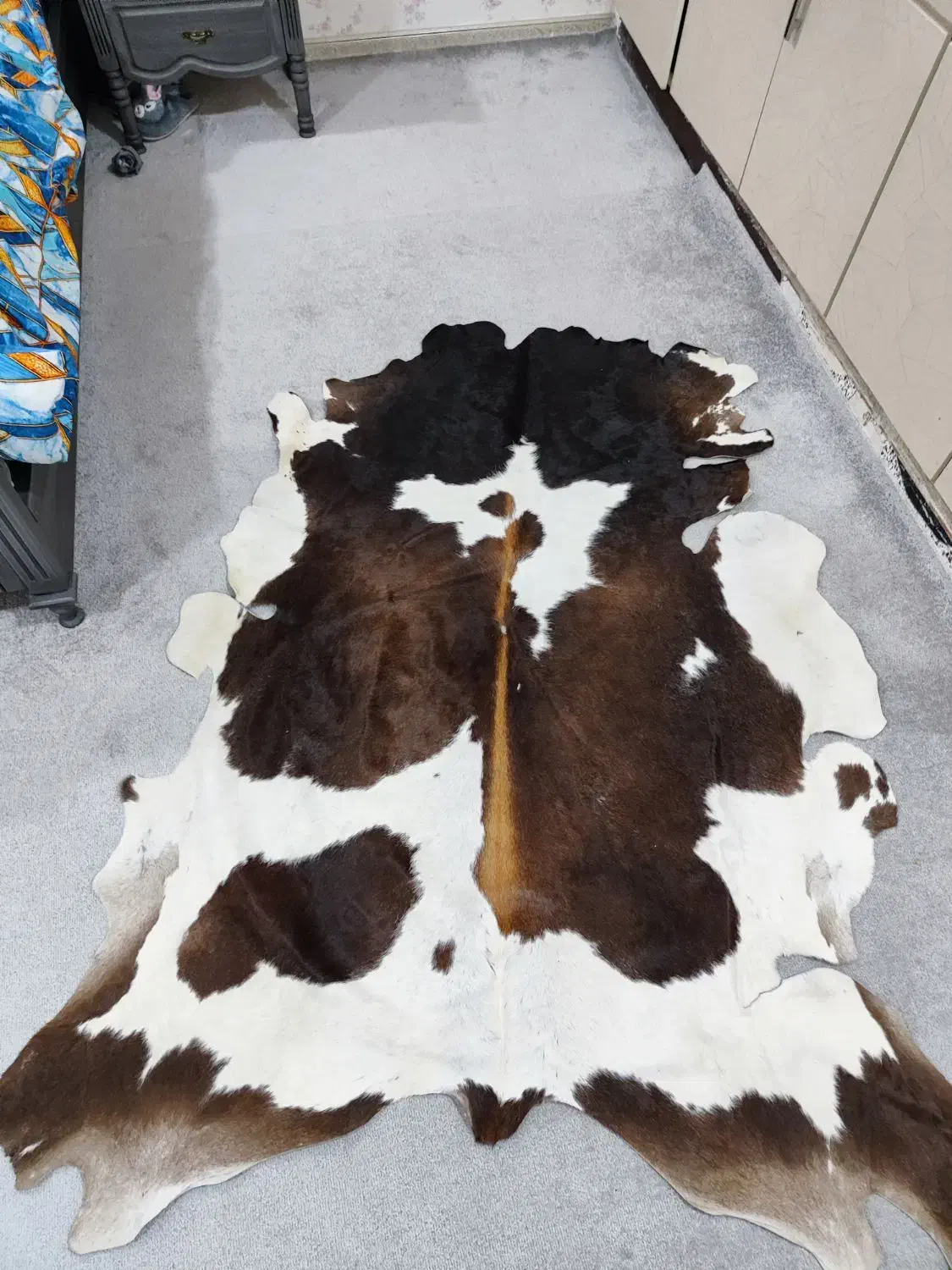 پوستر طبیعی|فرش|اهواز, گلستان|دیوار