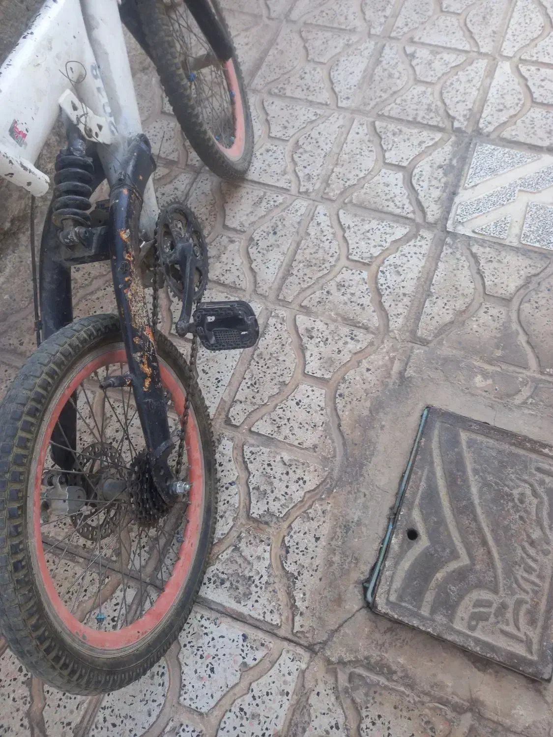 دوچرخه ۲۰|دوچرخه، اسکیت، اسکوتر|تربت‌حیدریه, داروپخش|دیوار