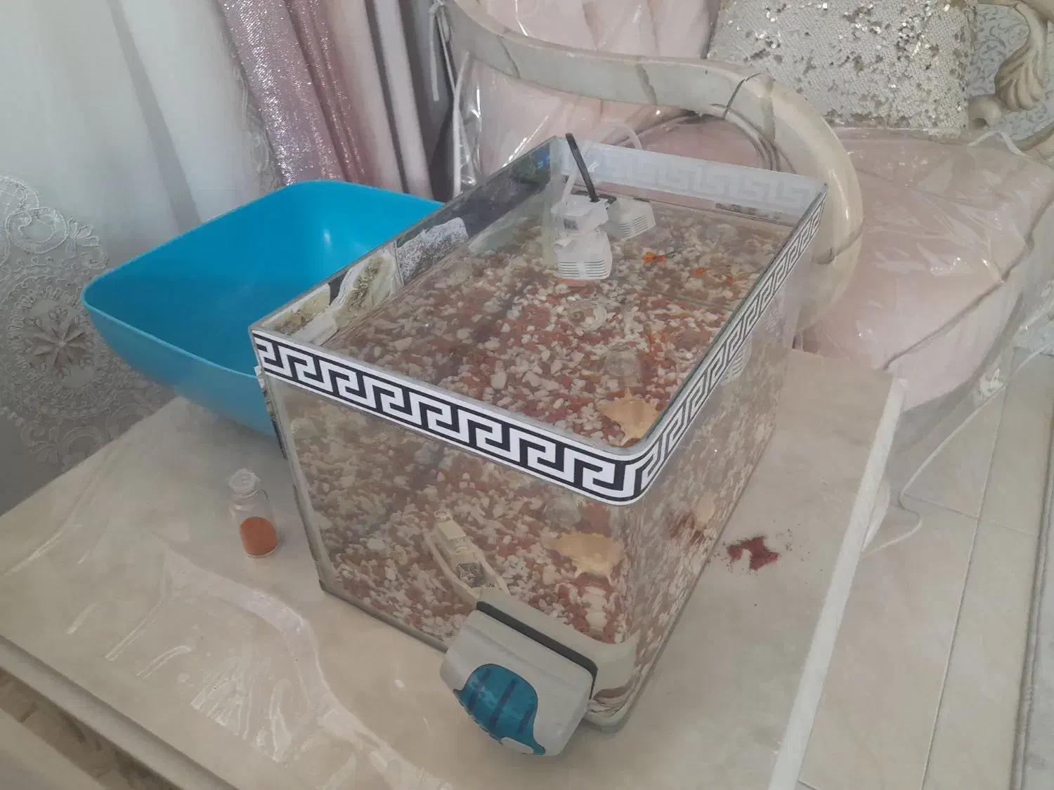 آکواریوم شیشه خم همراه ۲۰ ماهی و تزئینات|ماهی|تهران, علی‌آباد|دیوار