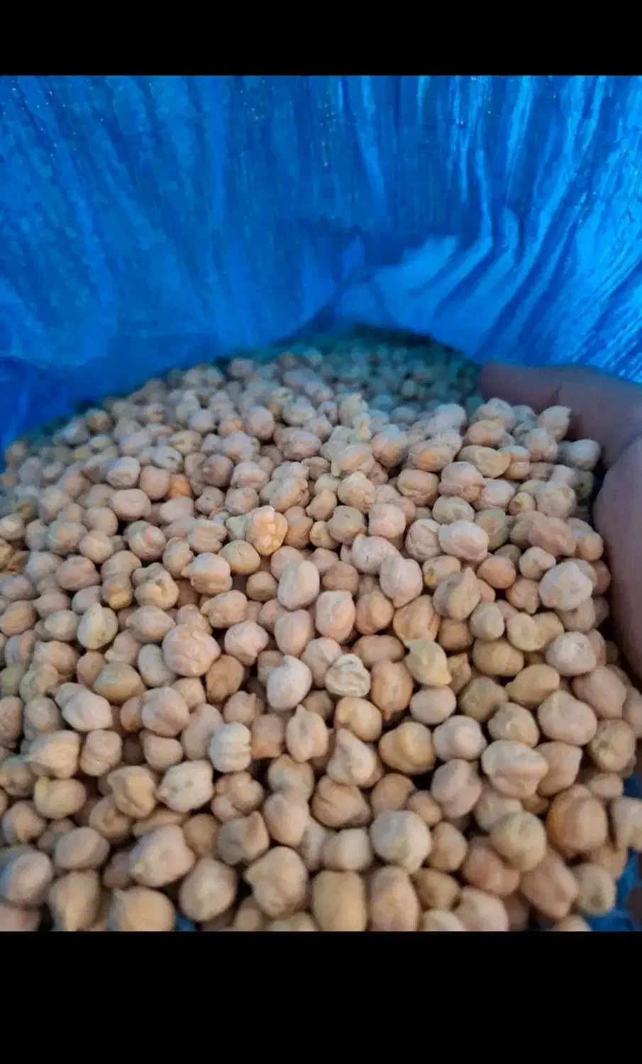 نخود درشت و درجه یک|خوردنی و آشامیدنی|سوری, |دیوار