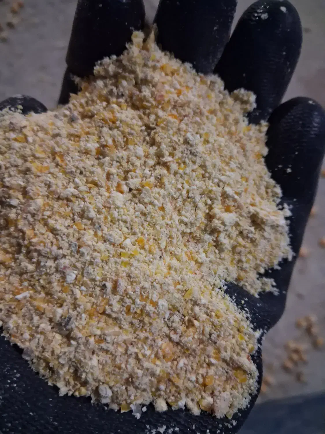 بلغور ذرت|لوازم جانبی حیوانات|اصفهان, ارداجی|دیوار