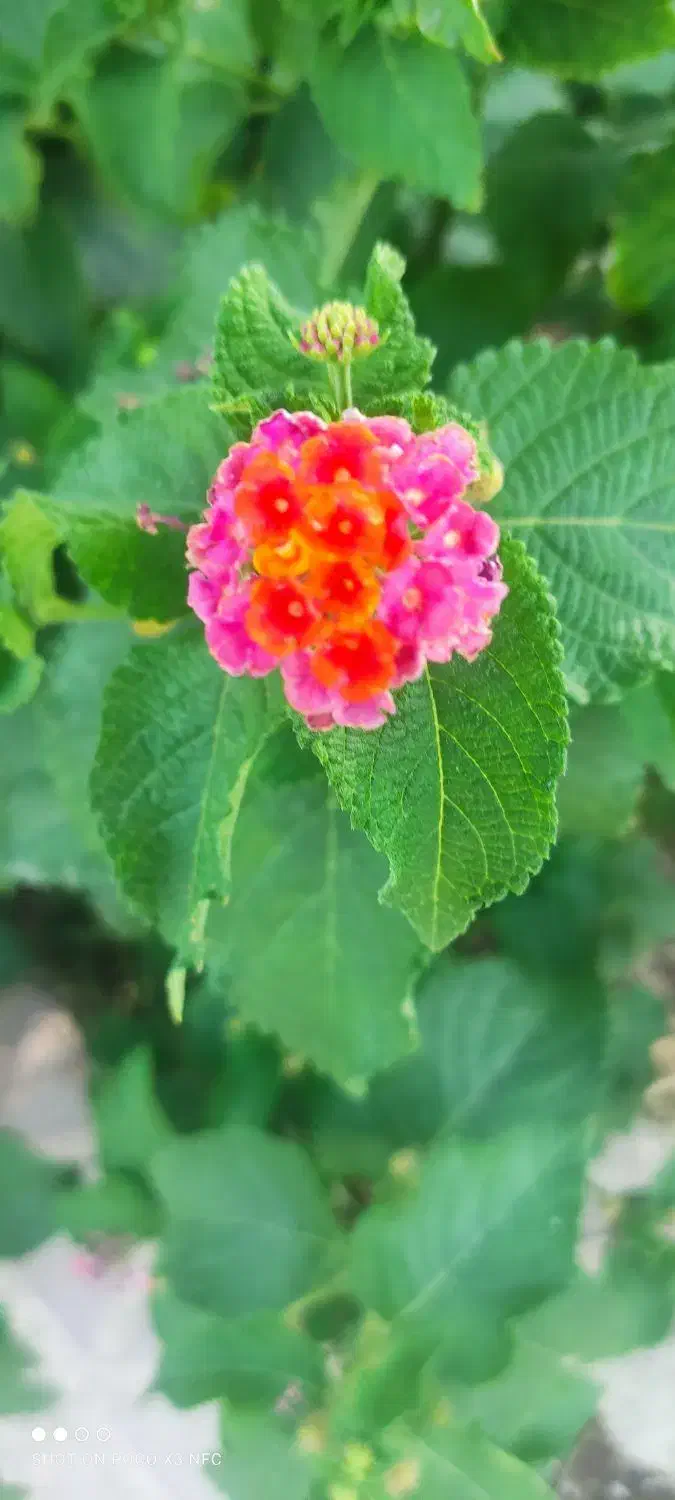 ختم و  نماز ‌ و روزه برای   اموات|فعالیت داوطلبانه|زاهدان, |دیوار