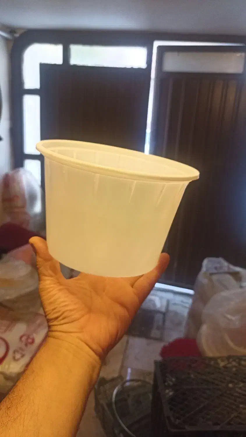 فروش لوازم یکبار مصرف|ظروف نگهدارنده، پلاستیکی، یک‌بارمصرف|ارومیه, |دیوار