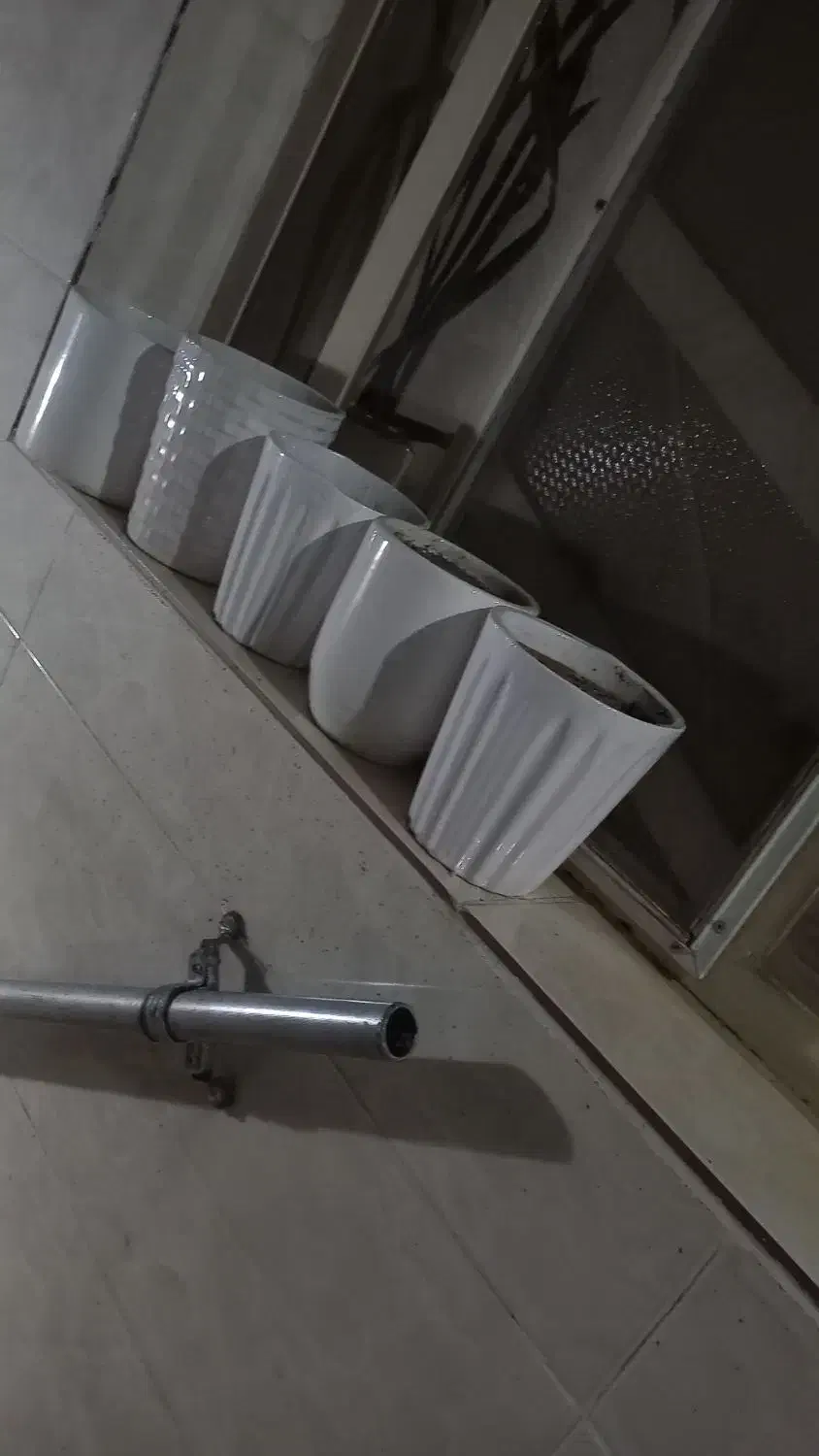 گلدان|گل و گیاه طبیعی|اهواز, فولادشهر|دیوار