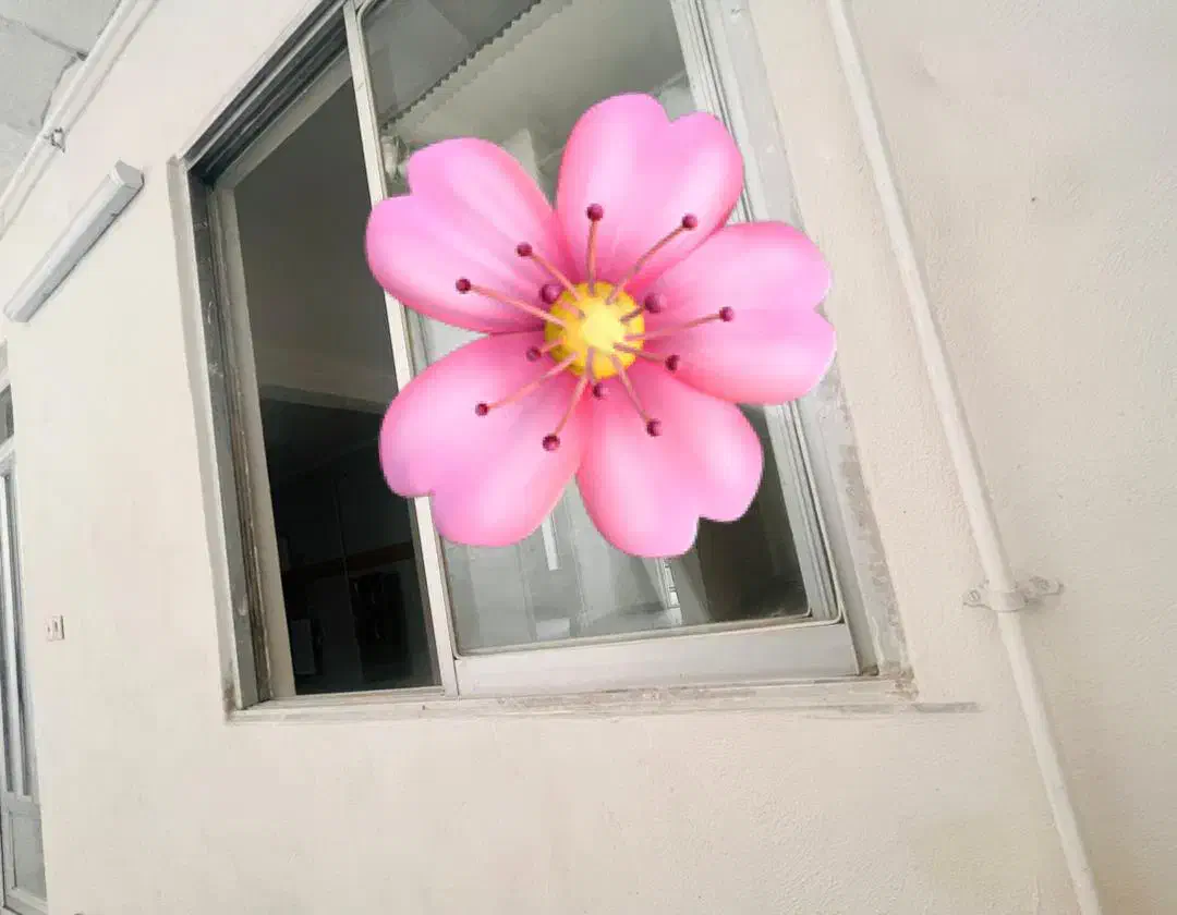 اجاره خانه ویلایی امامرضای پایین برخیابان اصلی|اجارهٔ خانه و ویلا|گرگان, |دیوار