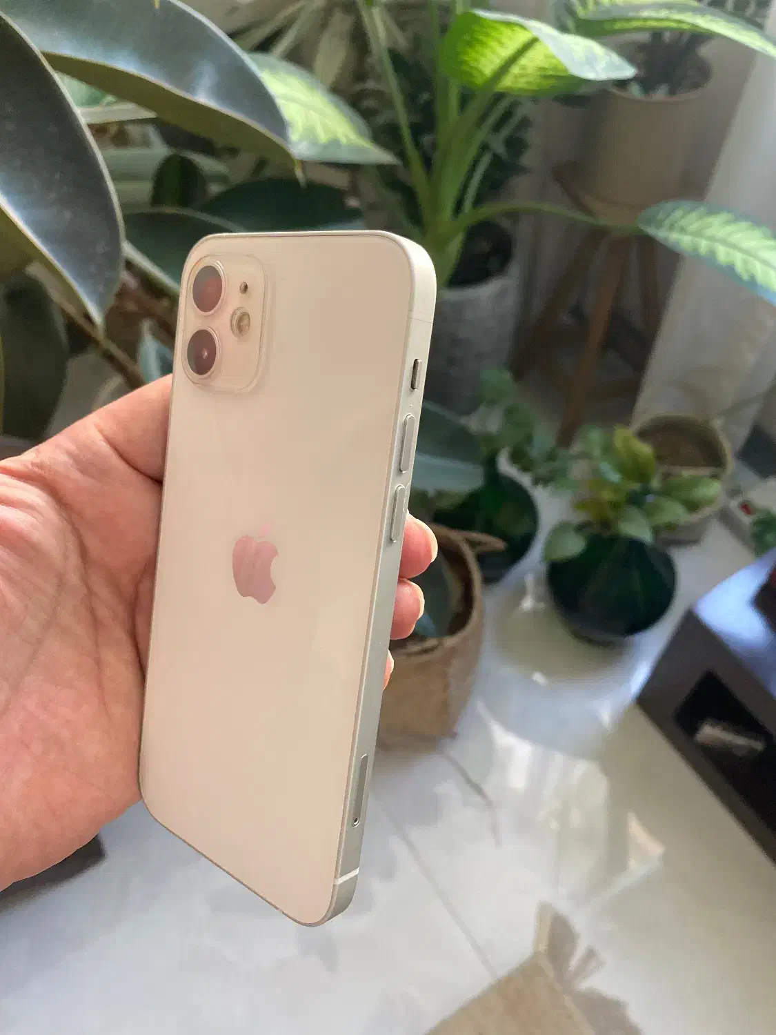 آیفون ۱۲ در حد نو|موبایل|تهران, زعفرانیه|دیوار