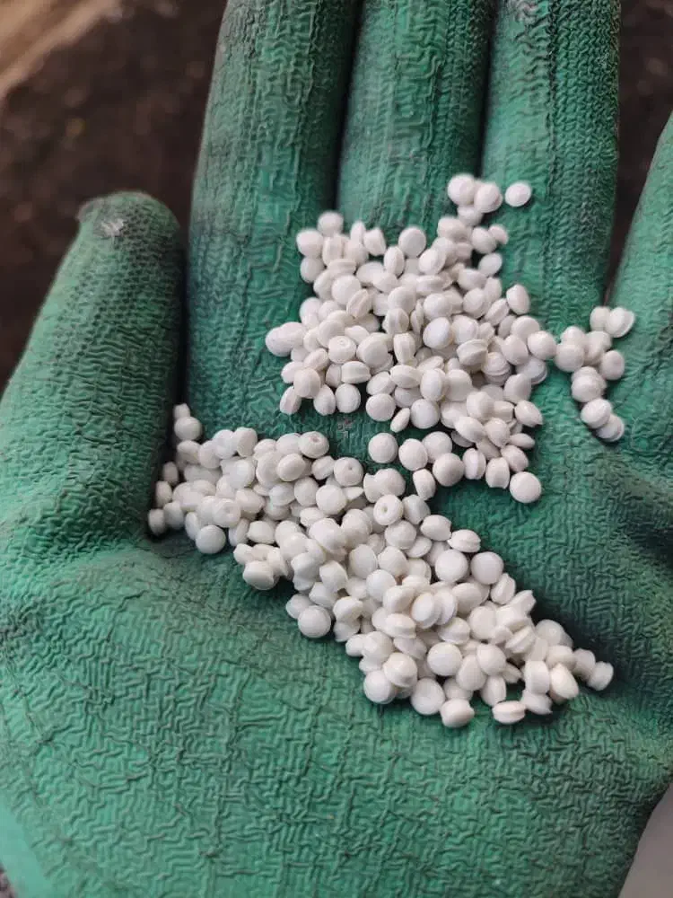 کارگر گرانول زنده خور برای شیفت شب نیازمندیم|استخدام صنعتی، فنی، مهندسی|تبریز, |دیوار