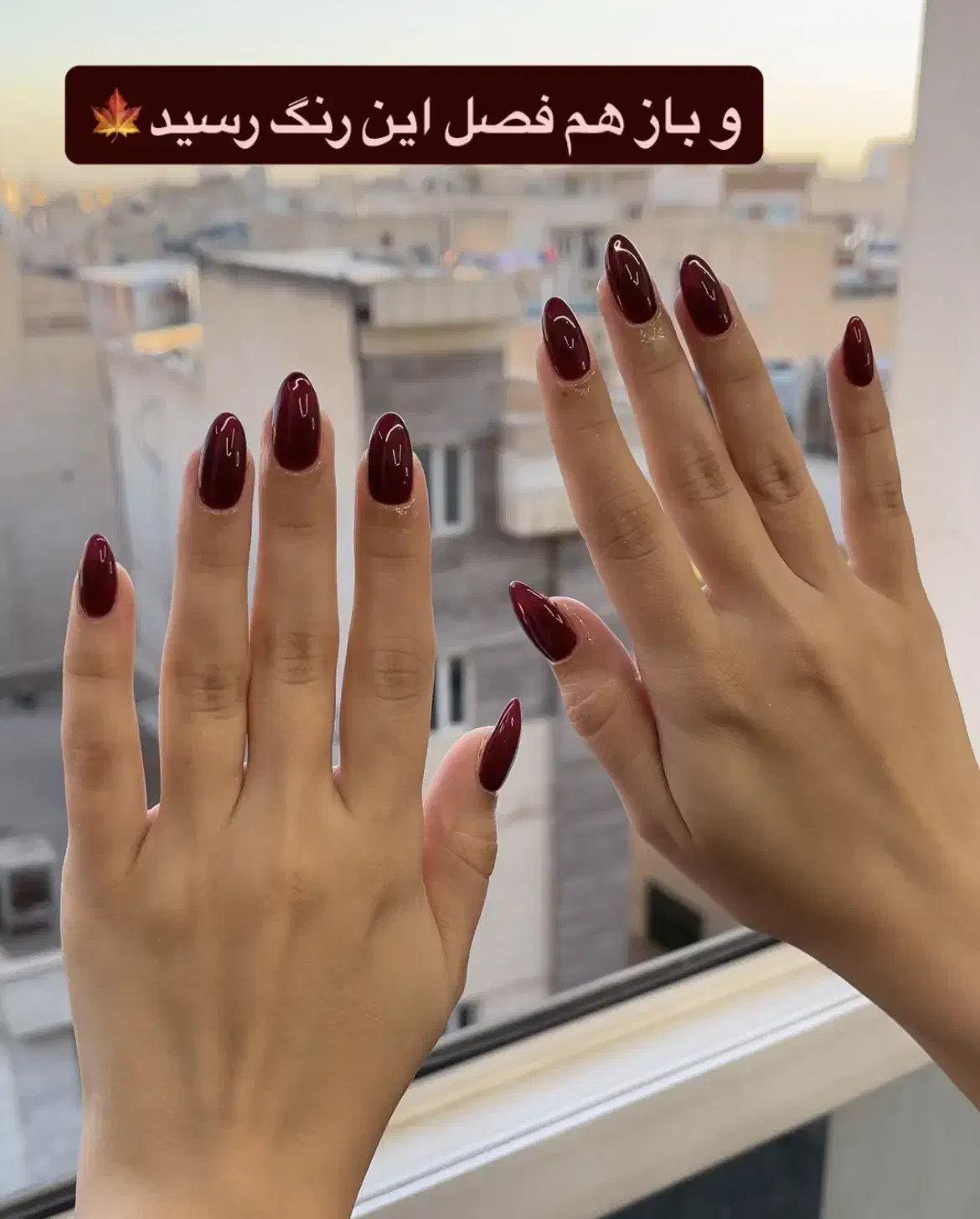 جشنواره تخفیف کاشت و ترمیم ناخن (مدل نیستید)|خدمات آرایشگری و زیبایی|تهران, نیروی هوایی (پیروزی)|دیوار