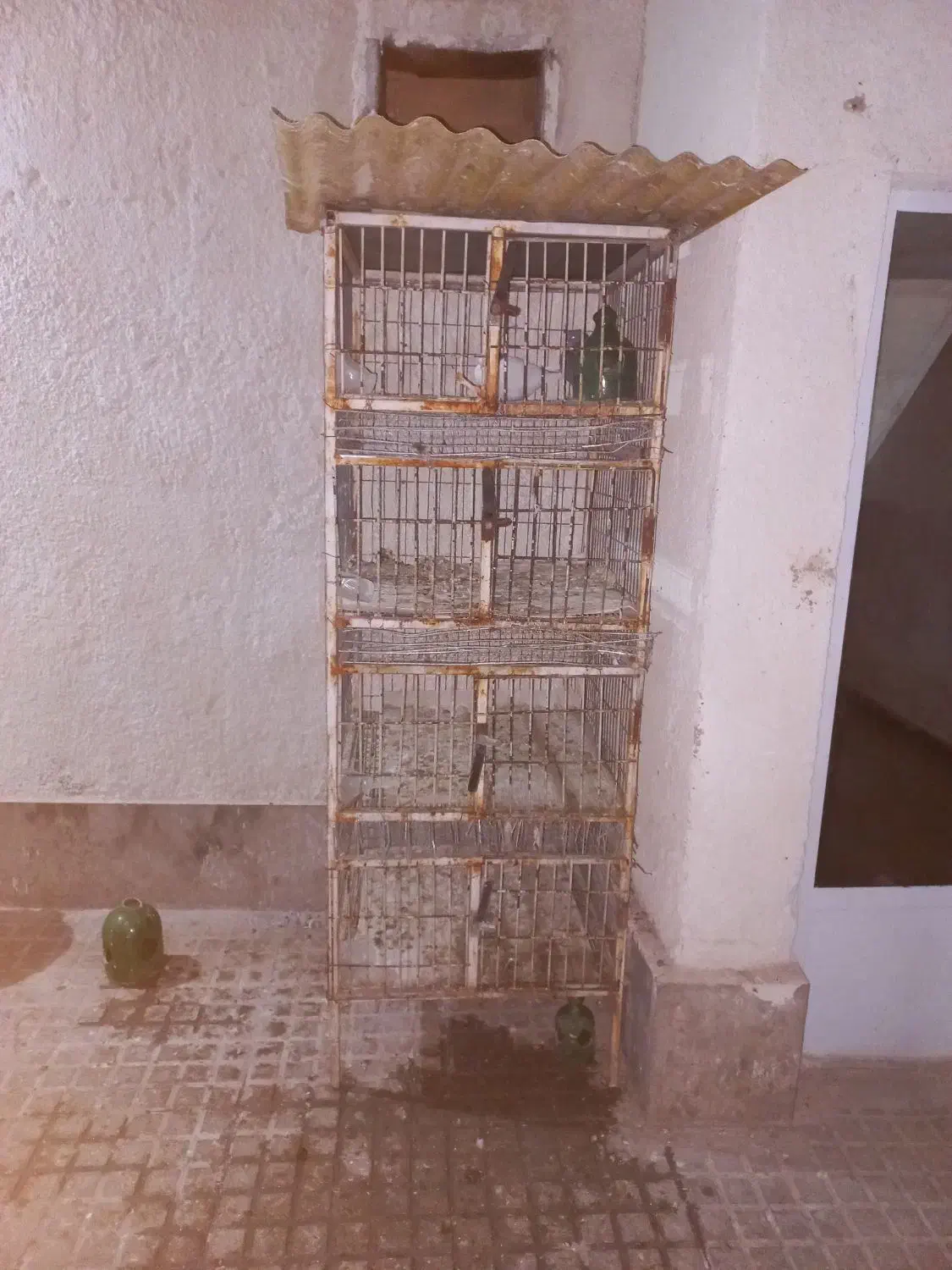 جفت کن چهار طبقه|لوازم جانبی حیوانات|قرچک, میرزائی شمالی|دیوار