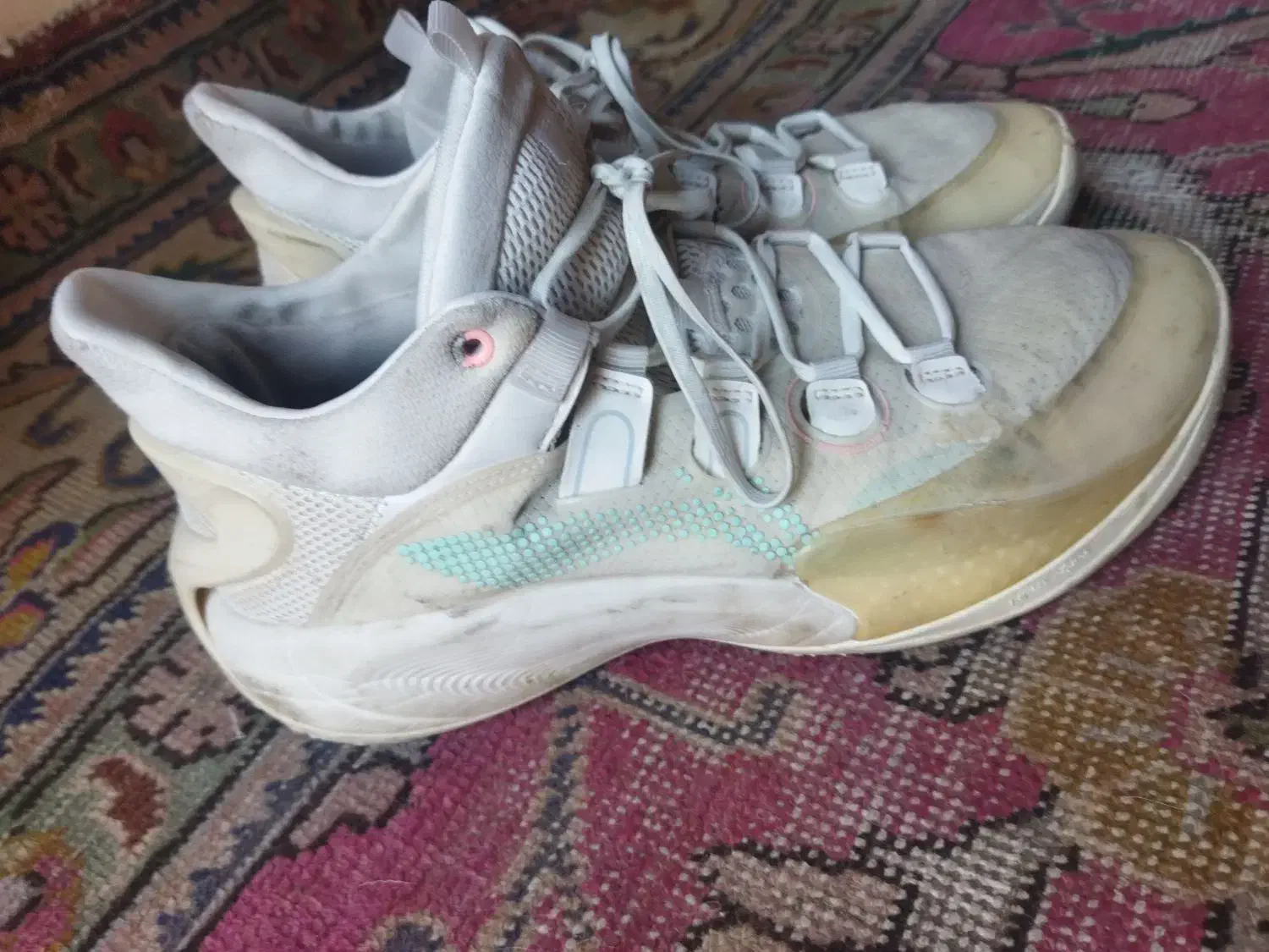 کفش|کیف، کفش، کمربند|مراغه, |دیوار