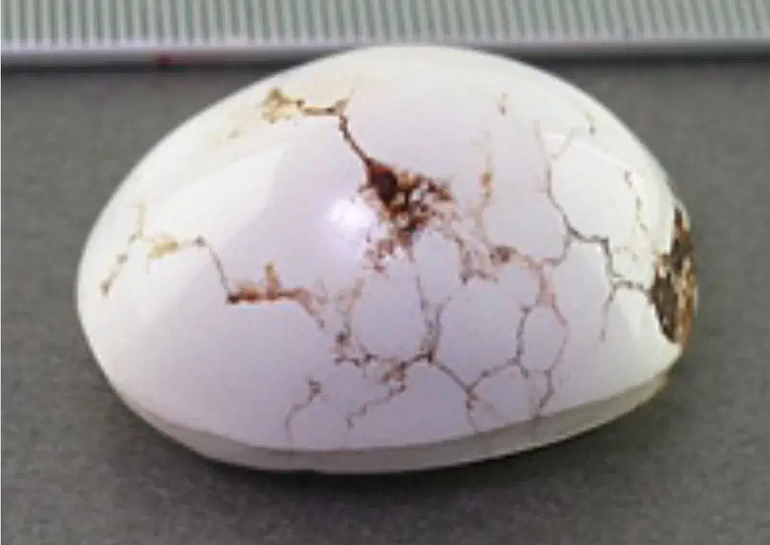 سنگ انگشتر|کلکسیون اشیاء عتیقه|اهواز, اسلام آباد شرقی|دیوار