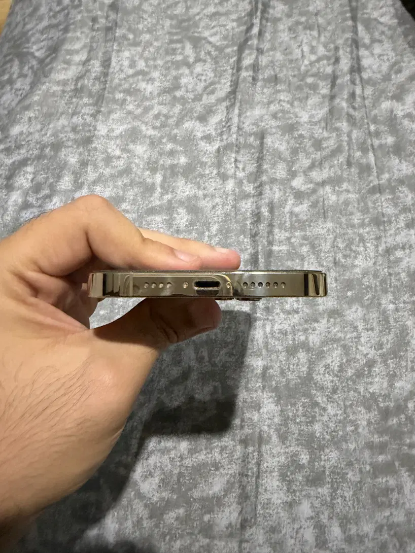 13 promax gold|موبایل|همدان, |دیوار