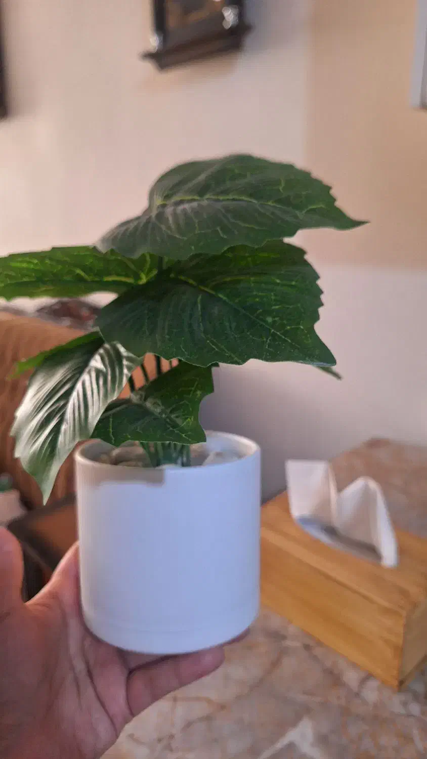 دکوری|صنایع دستی و سایر لوازم تزئینی|مشهد, امامیه (شهرک غرب)|دیوار