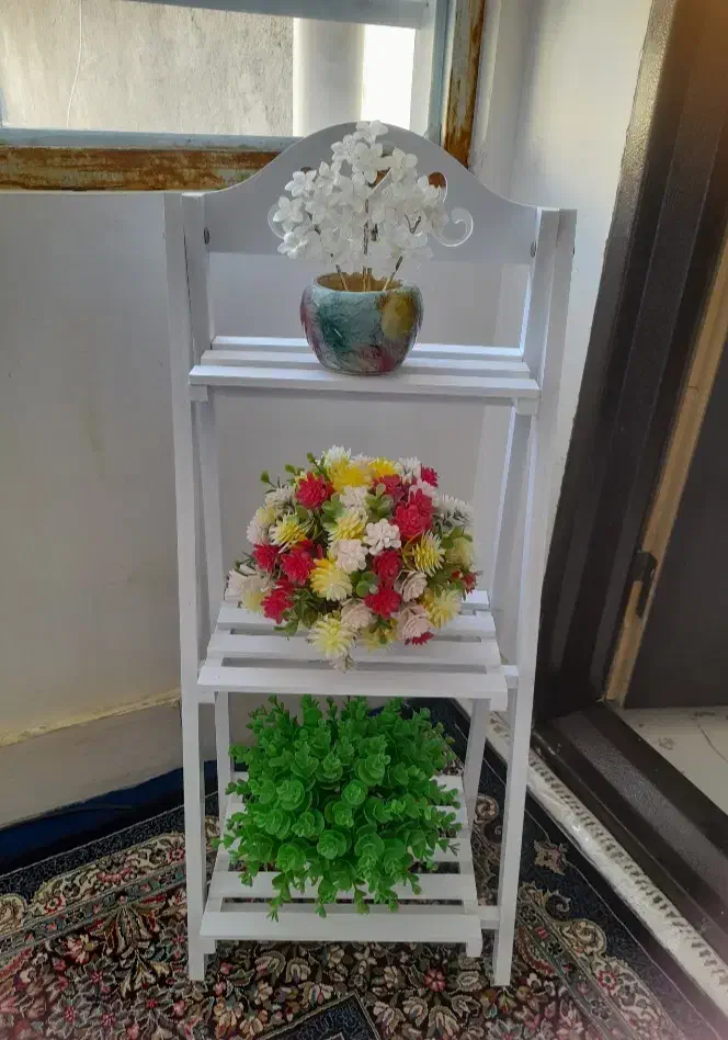 استند|گل و گیاه طبیعی|کوهدشت, |دیوار
