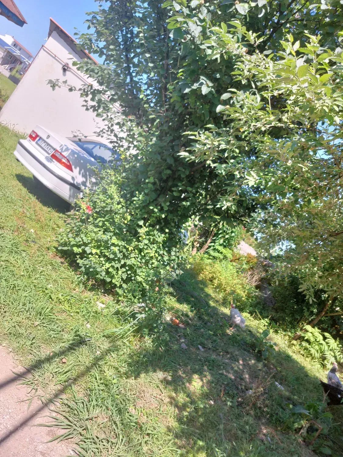 زمین بامتراژ ۱۸۰ متر دارای سوییت|فروش زمین و ملک کلنگی|پره‌سر, |دیوار