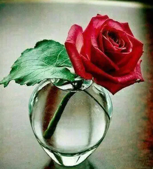 کتاب رفع مشکلات به صورت ساده|کتاب و مجله مذهبی|بروجرد, |دیوار