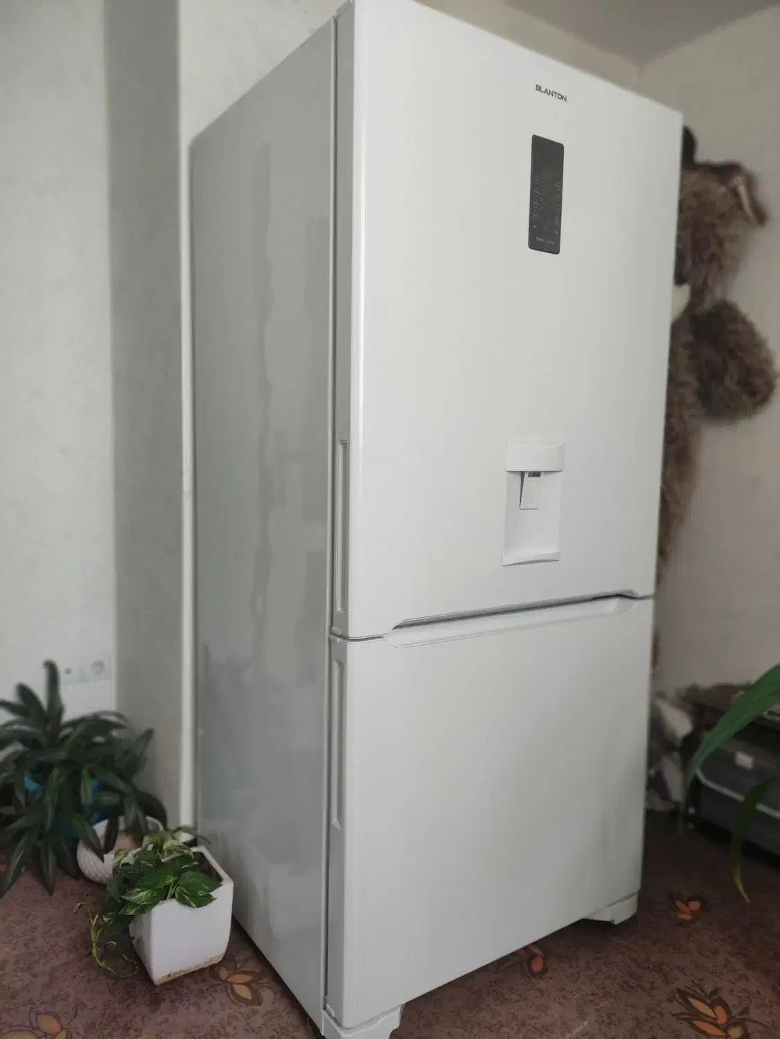 یخچال فریزر 30 فوت بلانتون کاملا نو استفاده نشده|یخچال و فریزر|صدرا-فارس, فاز ۱|دیوار