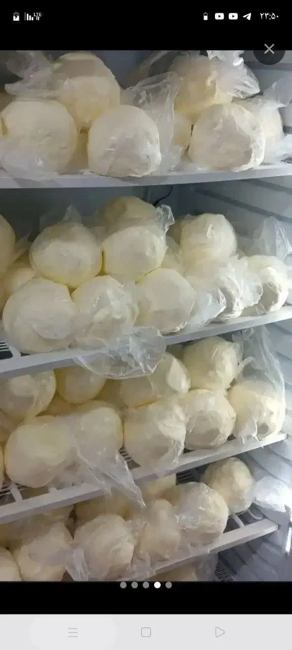 محصولات لبنی|حراج|مرند, |دیوار