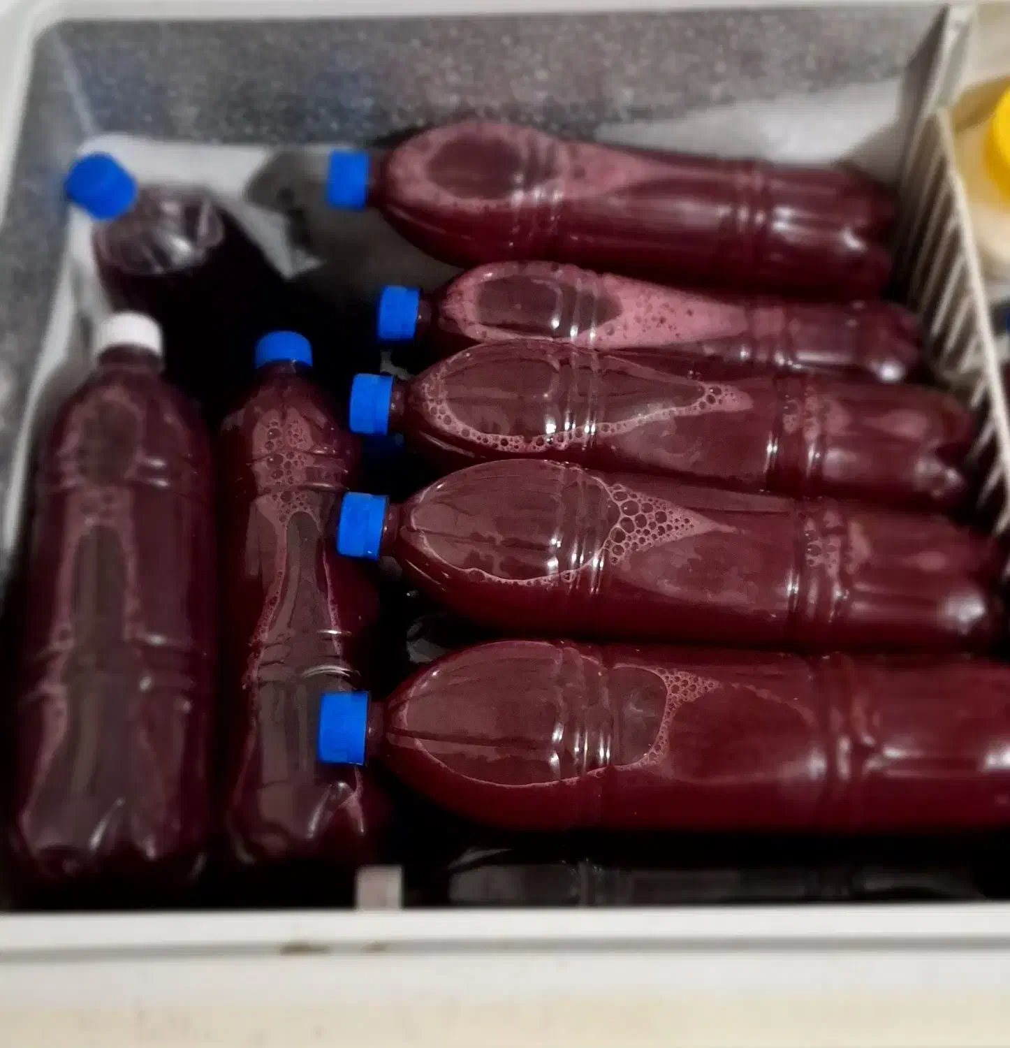 رب انار و آب انار خالص|خوردنی و آشامیدنی|سیمین شهر, |دیوار