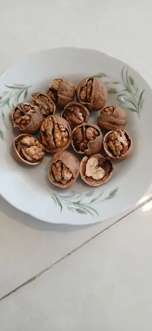 گردو درجه۱ تویسرکان استان همدان|خوردنی و آشامیدنی|شیراز, پودنک|دیوار