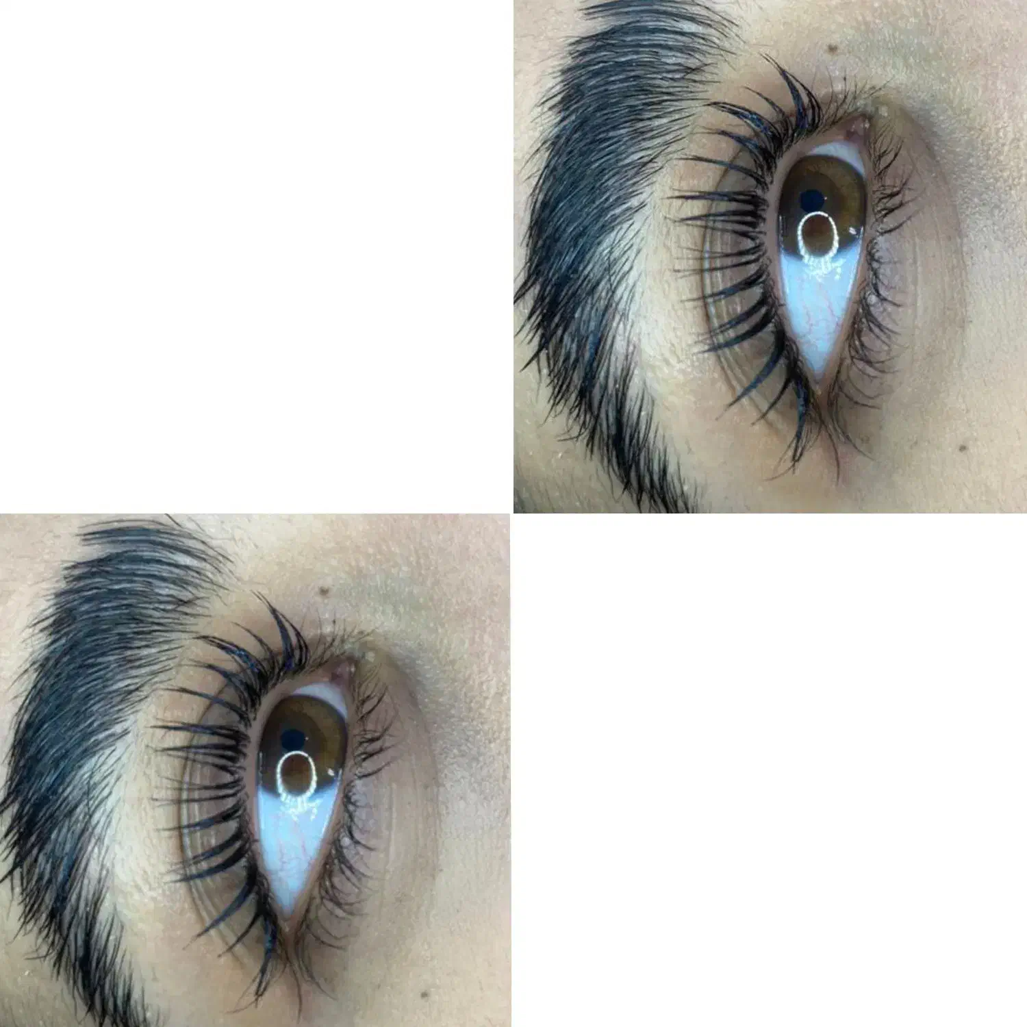 آموزش اکستنشن مژه و لیفت مژه و ابرو در اموزشگا|خدمات آموزشی|ملارد, |دیوار