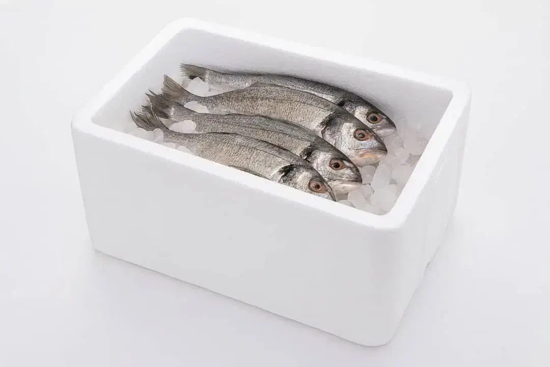 فروش یخدان با قیمت فوق العاده|ظروف نگهدارنده، پلاستیکی، یک‌بارمصرف|تهران, توحید|دیوار