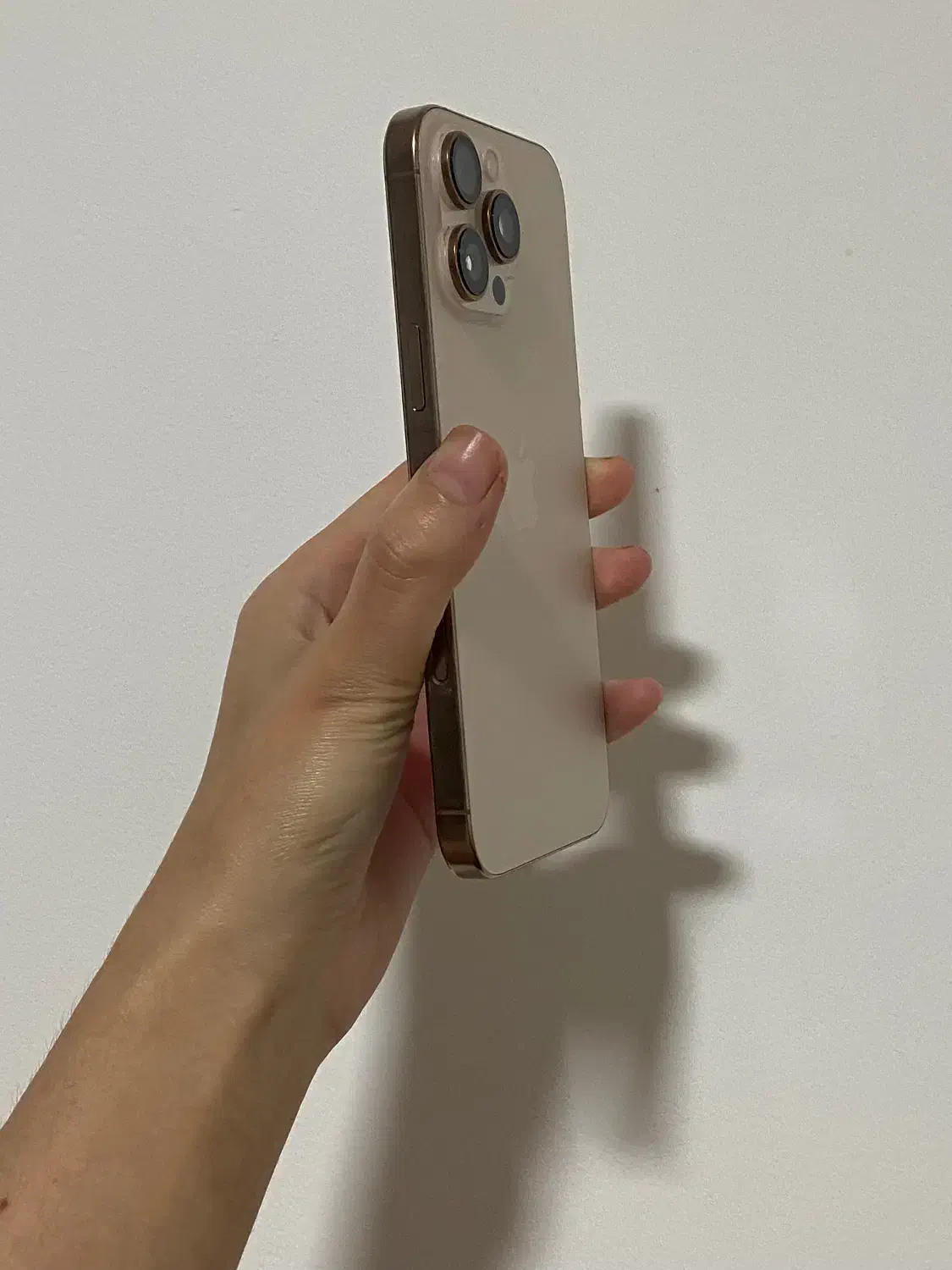 16پرومکس|موبایل|نکا, |دیوار