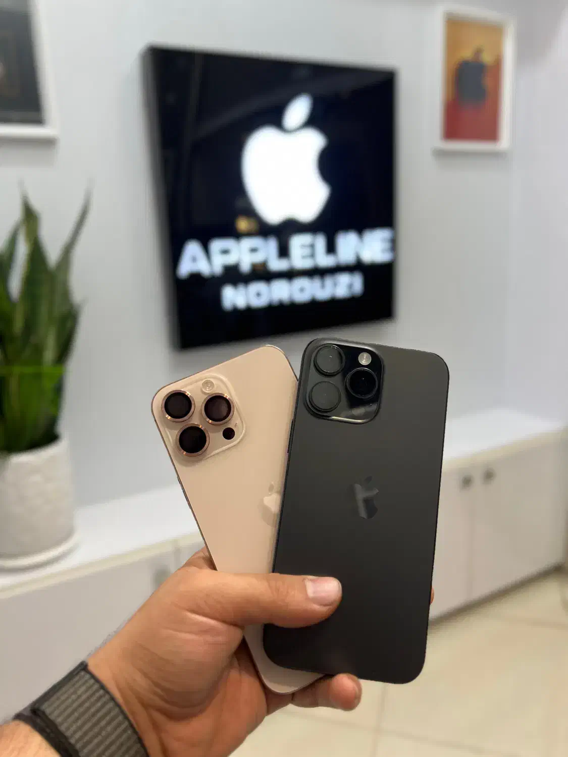 ایفون ۱۶ پرومکس ۲۵۶ پک اصلی ریجستر شده به قیمت پخش|موبایل|قزوین, |دیوار