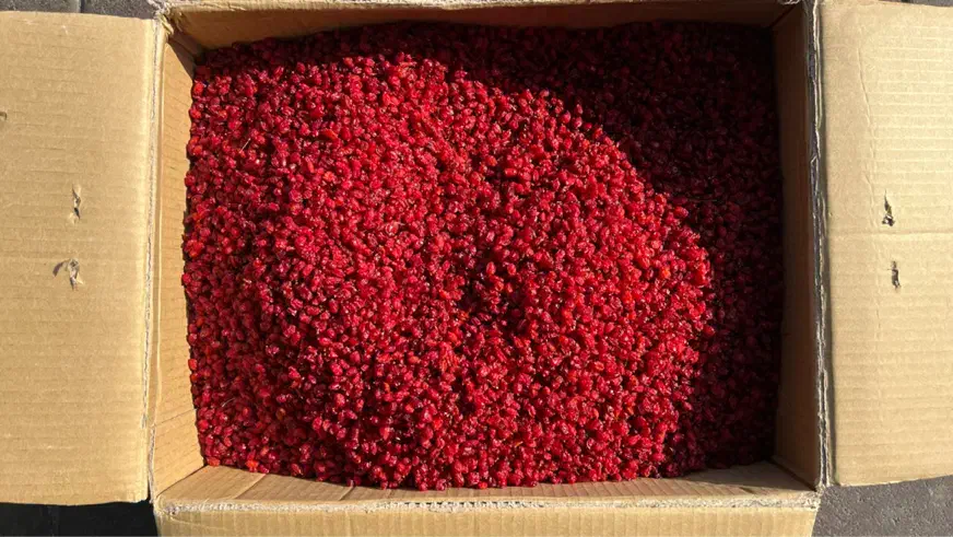 زرشک پفکی اعلا|خوردنی و آشامیدنی|تهران, انبار نفت|دیوار