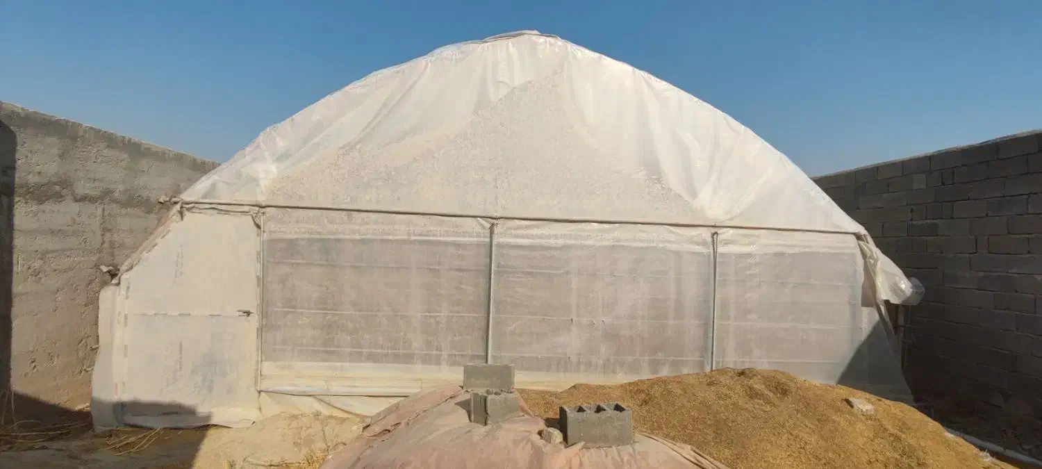 سازه گلخانه ۵۰۰ متری|مصالح و تجهیزات ساختمان|پاکدشت, پاکدشت (مامازند)|دیوار