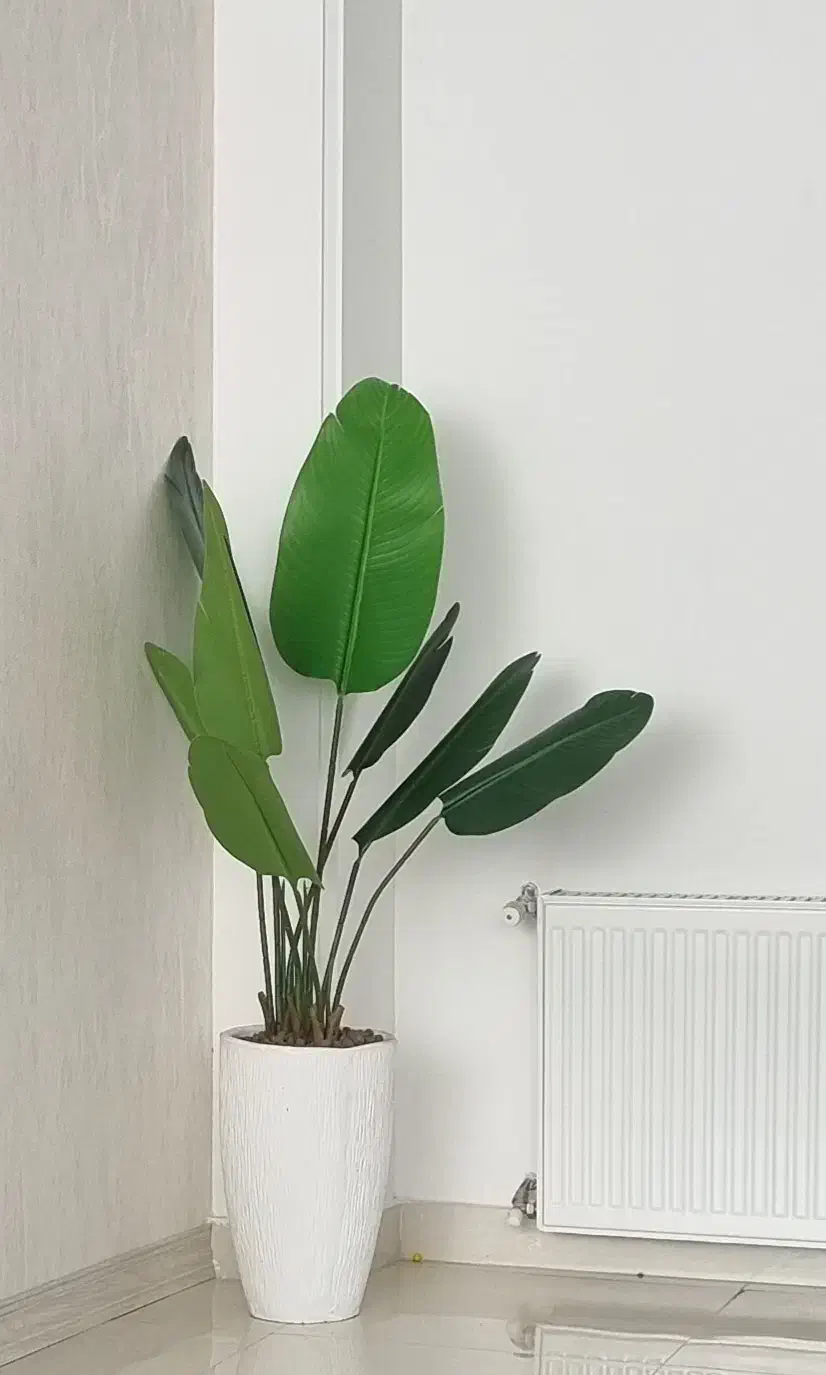 گل مصنوعی نخل نیکولای|گل مصنوعی|رشت, فلسطین|دیوار