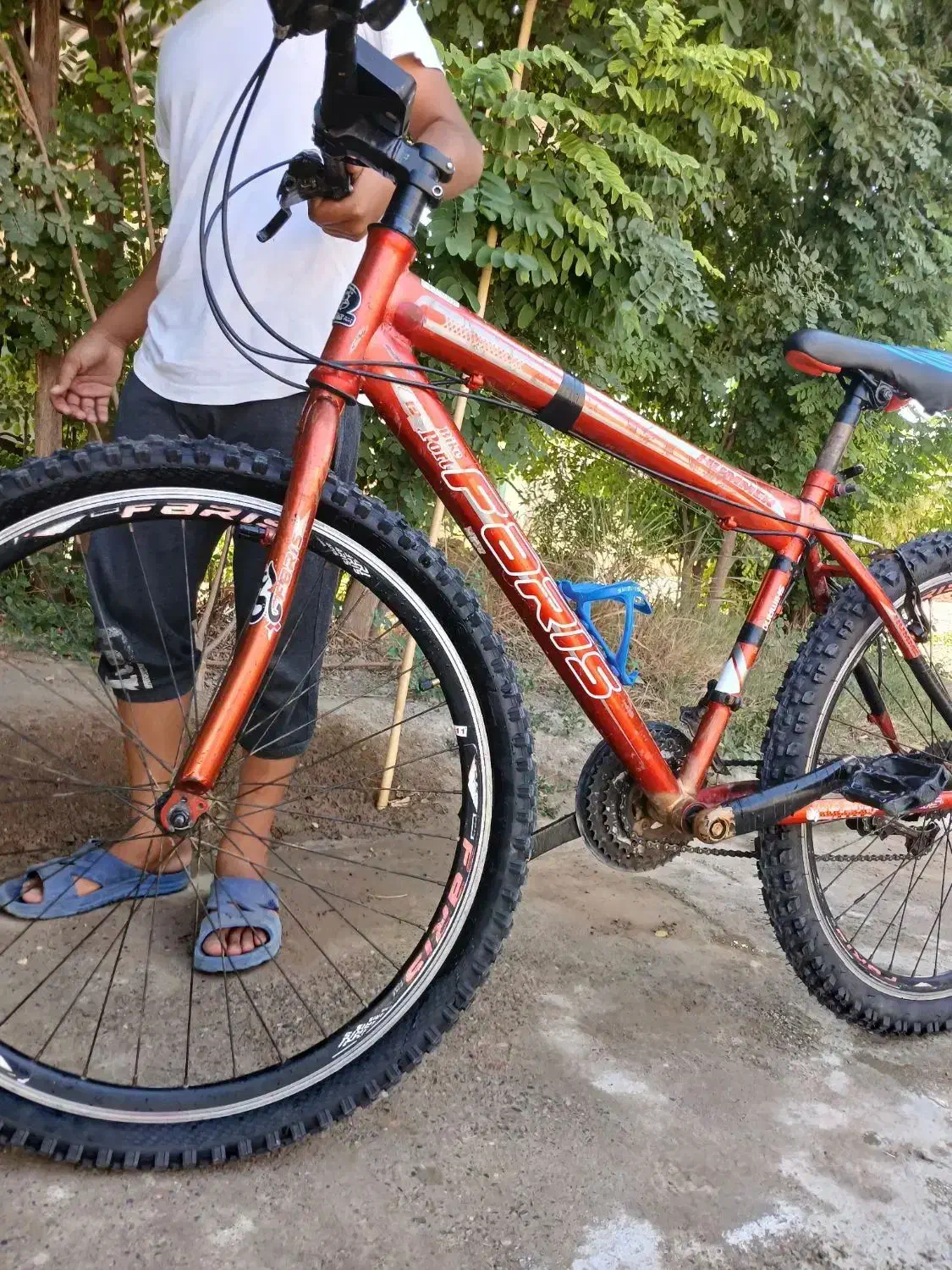 دوچرخه ۲۶ ویوا|دوچرخه، اسکیت، اسکوتر|گنبد کاووس, |دیوار