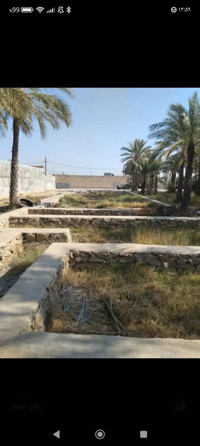 (فروش فوری زمین)دودانگه کوچک برچ حسنقلی خان|فروش زمین و ملک کلنگی|بهبهان, |دیوار