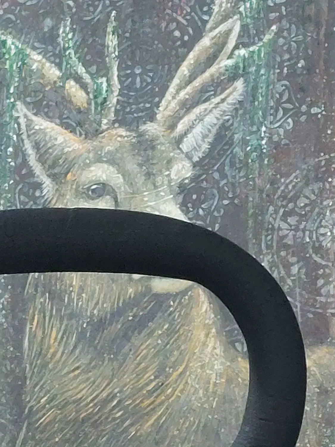 پیدا شده|حیوانات|شیراز, معالیآباد|دیوار